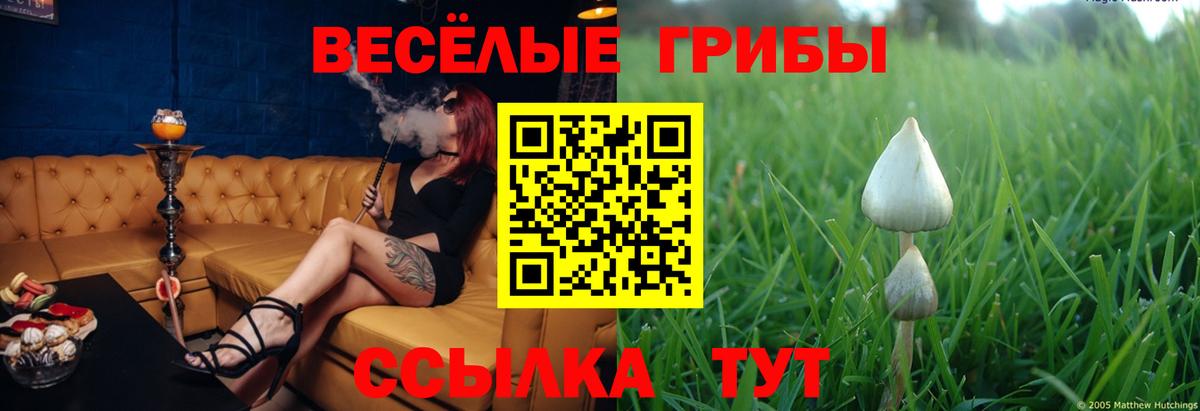 Галлюциногенные грибы GOLDEN TEACHER Старый Оскол