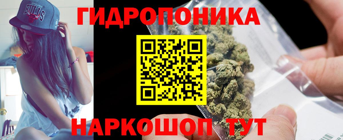 МАРИХУАНА сатива  МАРИХУАНА сатива  МАРИХУАНА сатива  МАРИХУАНА сатива  МАРИХУАНА сатива  МАРИХУАНА сатива  Старый Оскол 