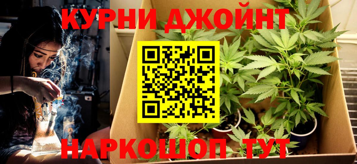 Каннабис Ganja  Шишки марихуана VHQ  Вход с VPN  Шишки марихуана семена  Старый Оскол 